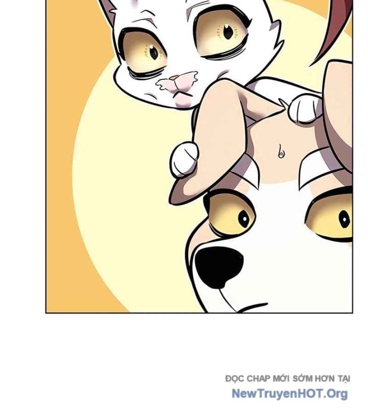 Hoá Thân Thành Mèo Chapter 370 - Next 