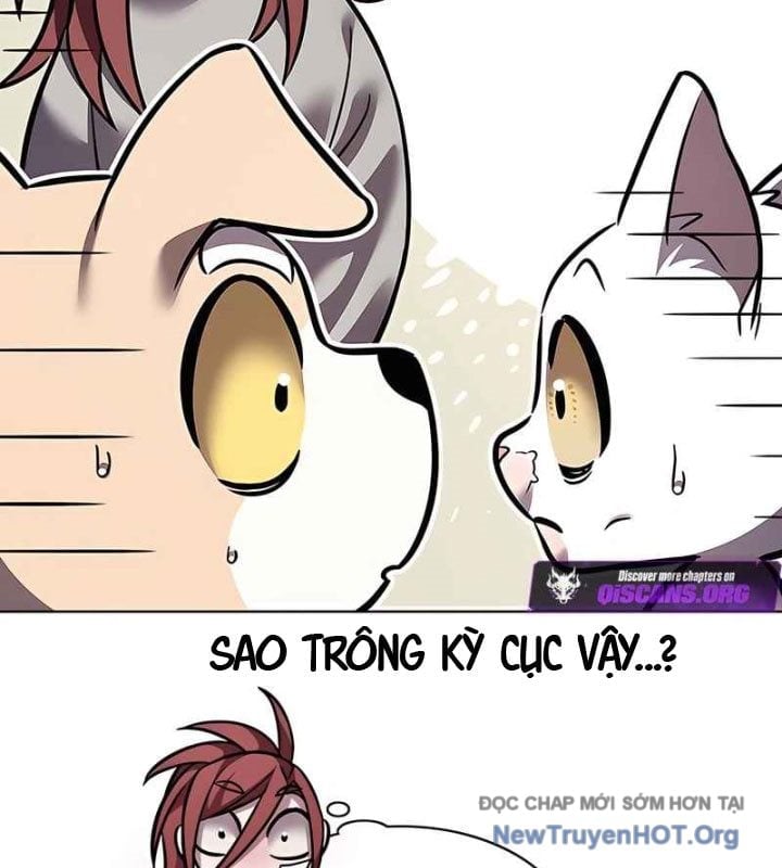 Hoá Thân Thành Mèo Chapter 370 - Next 