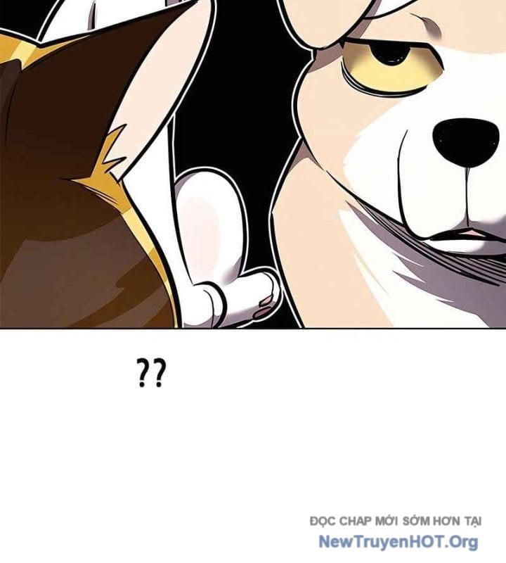 Hoá Thân Thành Mèo Chapter 370 - Next 