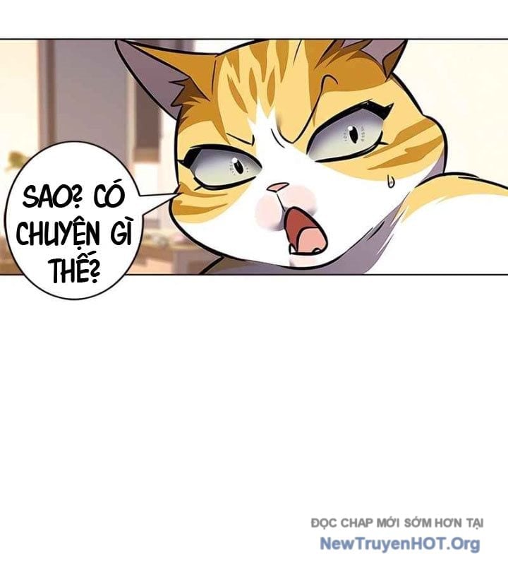 Hoá Thân Thành Mèo Chapter 370 - Next 