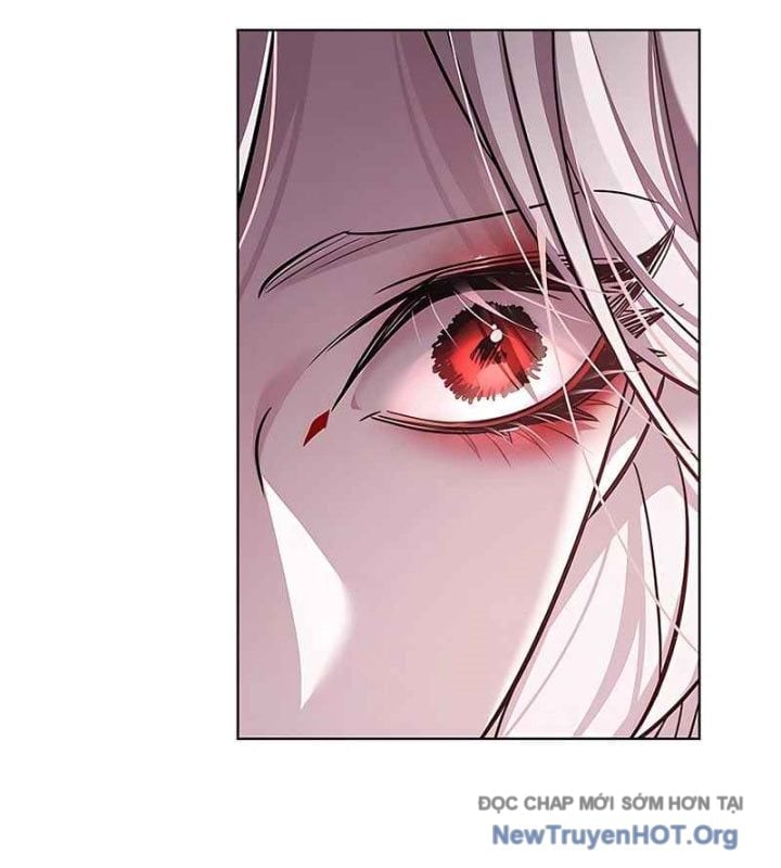 Hoá Thân Thành Mèo Chapter 370 - Next 