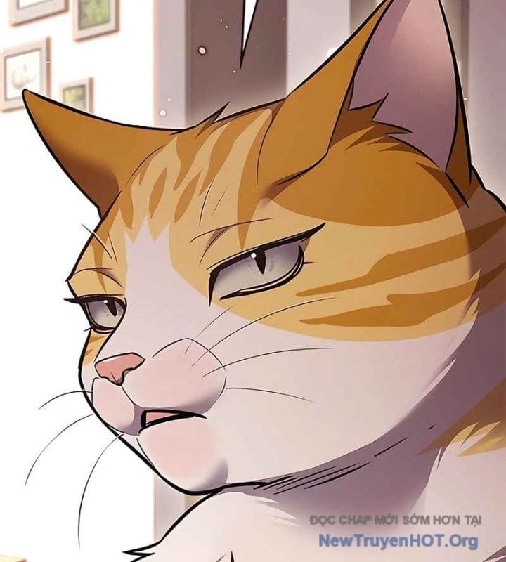 Hoá Thân Thành Mèo Chapter 370 - Next 