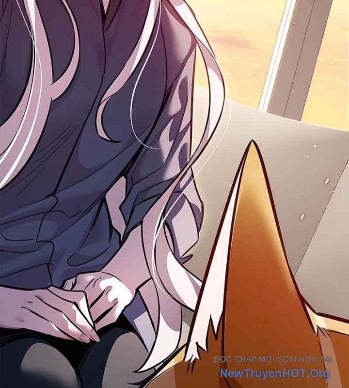 Hoá Thân Thành Mèo Chapter 370 - Next 