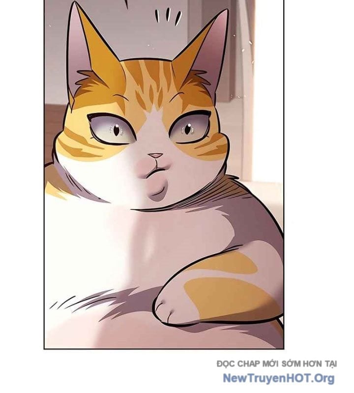 Hoá Thân Thành Mèo Chapter 370 - Next 
