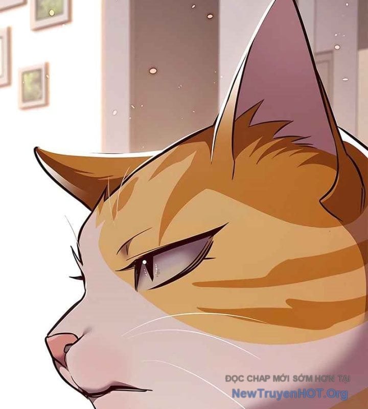 Hoá Thân Thành Mèo Chapter 370 - Next 