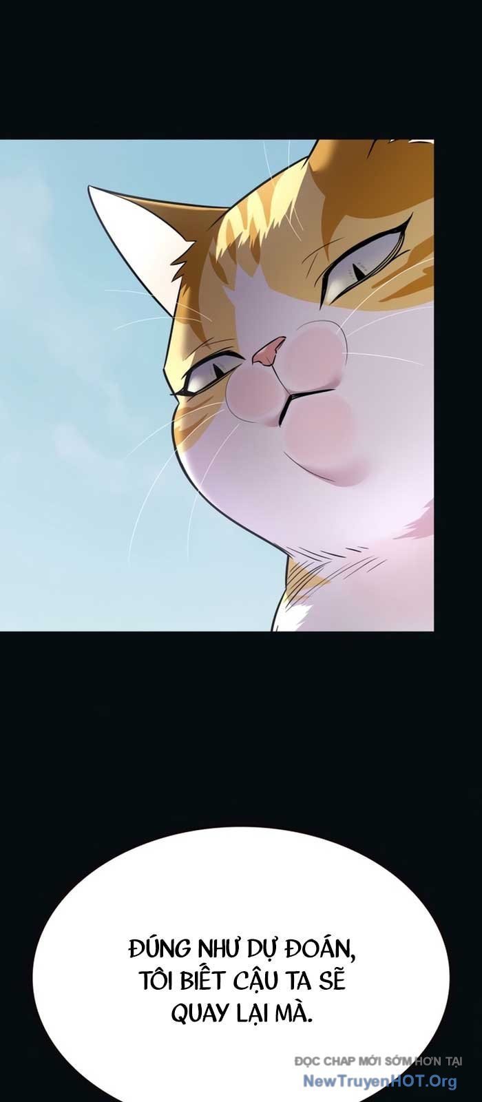 Hoá Thân Thành Mèo Chapter 371 - Trang 2