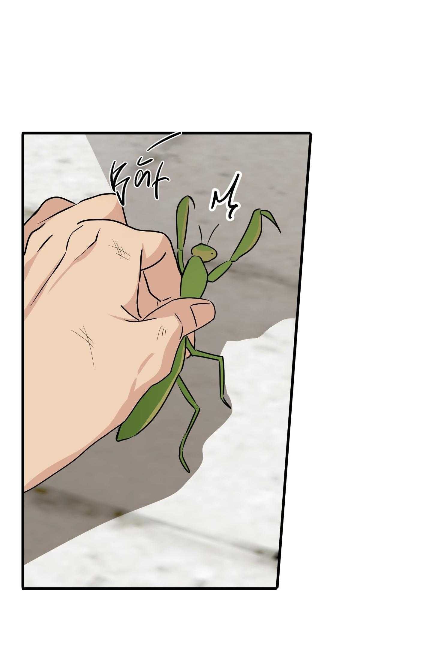 Hoa Vô Danh Chapter 23 - Trang 2