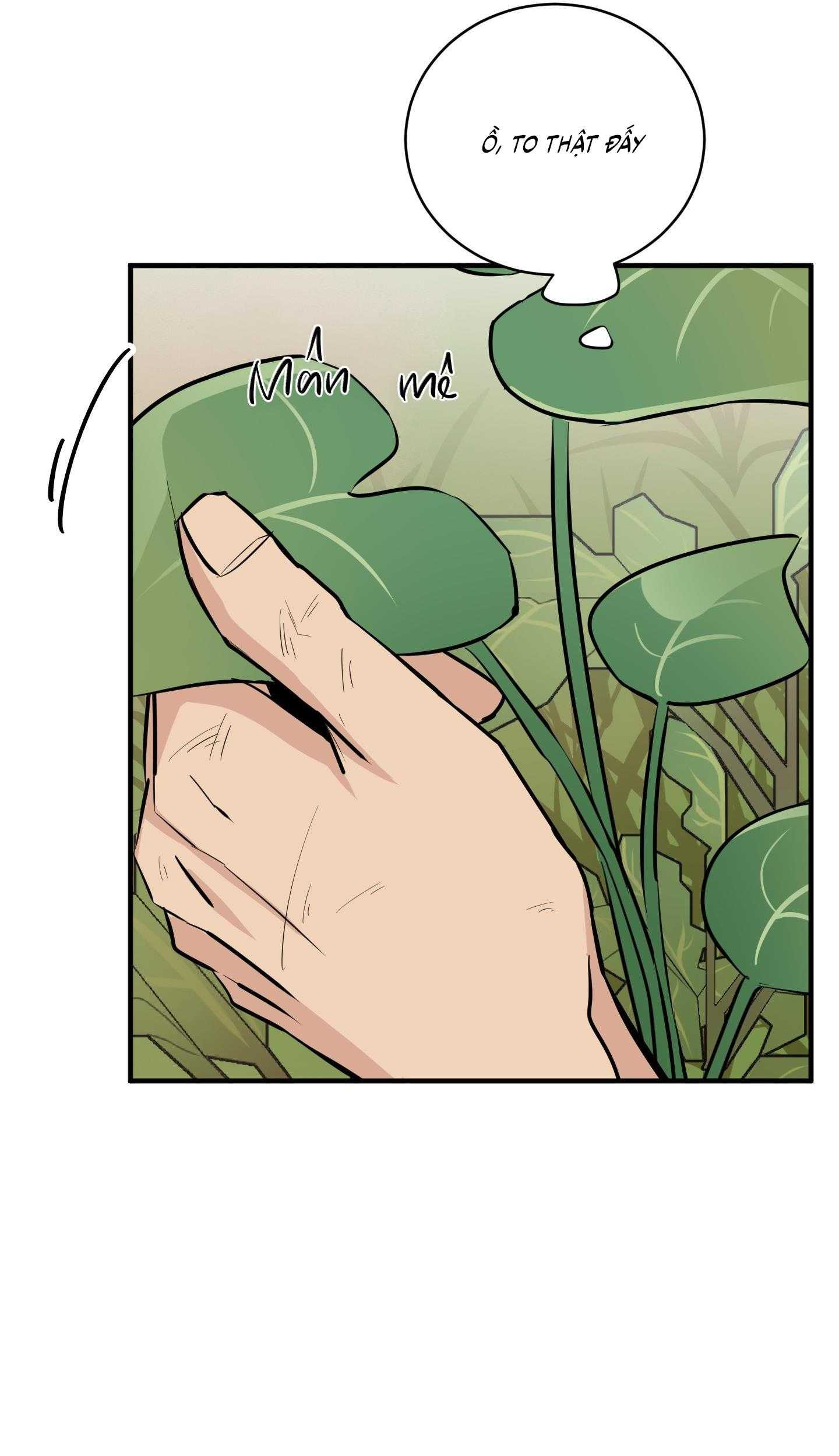 Hoa Vô Danh Chapter 25 - Trang 2