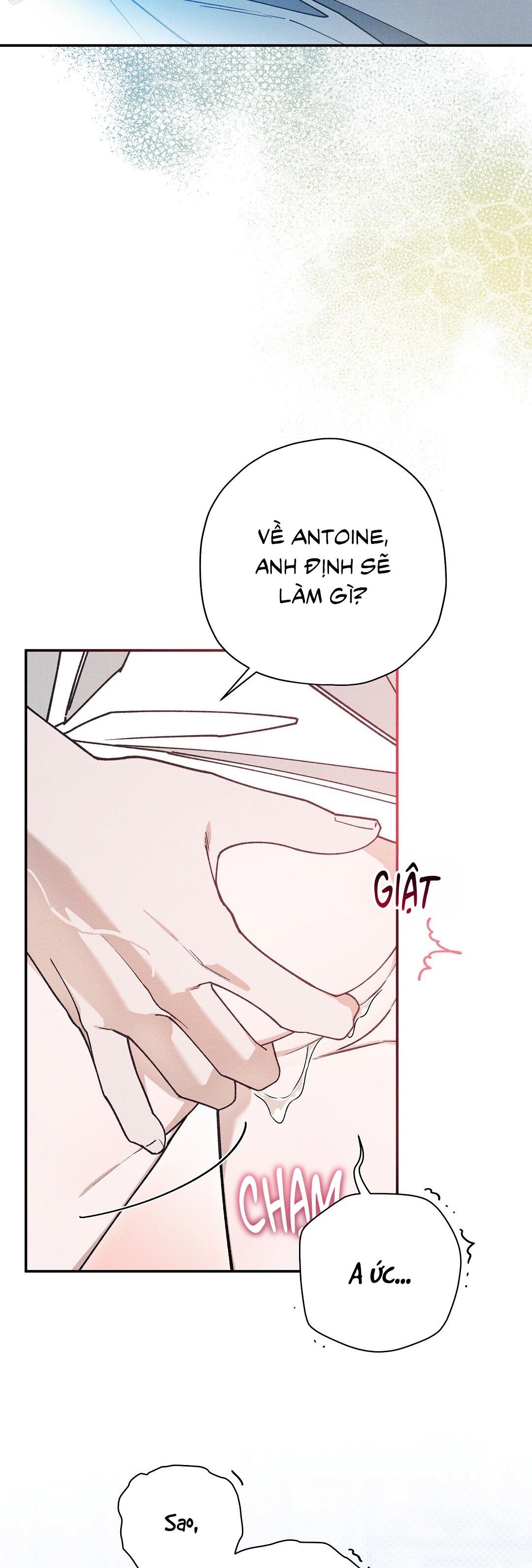 HOÀNG TỬ HƯ HỎNG CHE GIẤU MÌNH LÀ OMEGA Chapter 85 H++ - Trang 3