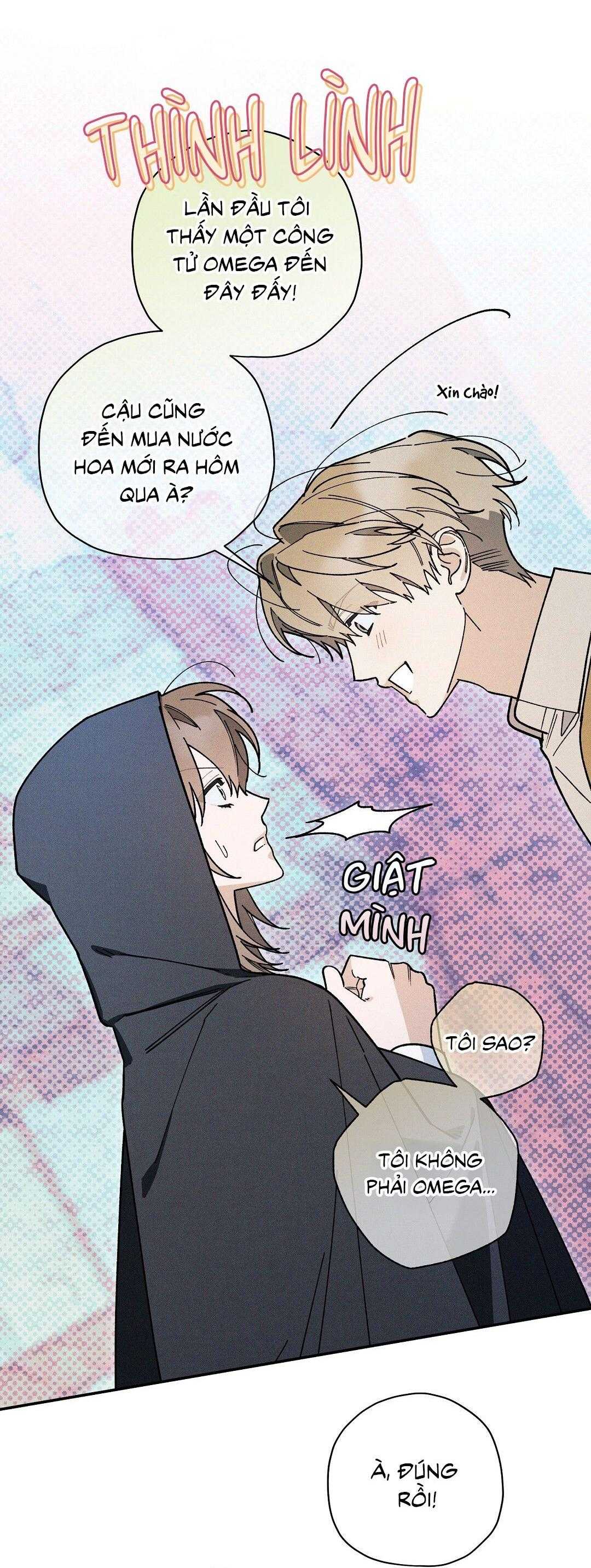 HOÀNG TỬ HƯ HỎNG CHE GIẤU MÌNH LÀ OMEGA Chapter 72 - Trang 2