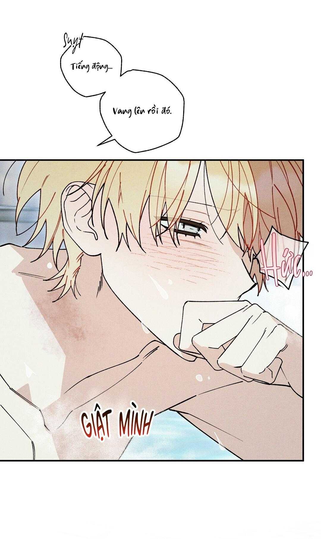 HOÀNG TỬ HƯ HỎNG CHE GIẤU MÌNH LÀ OMEGA Chapter 77 - Next 