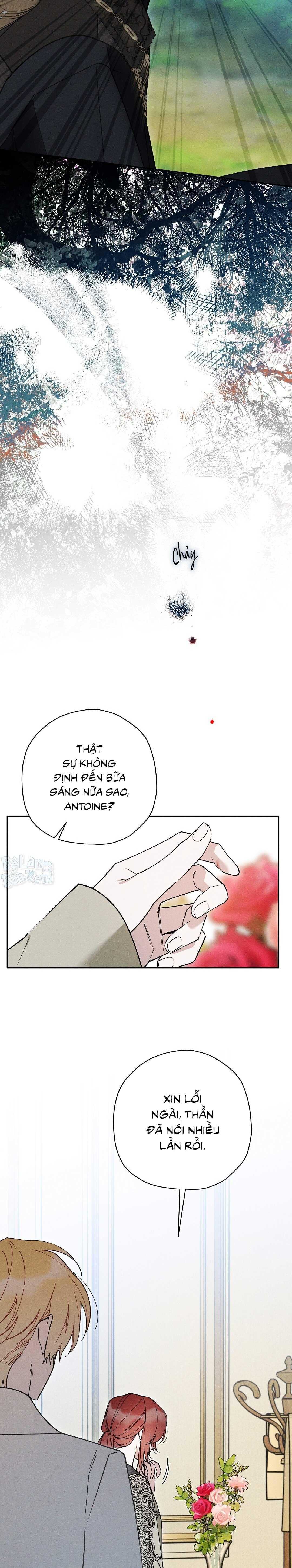HOÀNG TỬ HƯ HỎNG CHE GIẤU MÌNH LÀ OMEGA Chapter 89 - Trang 3