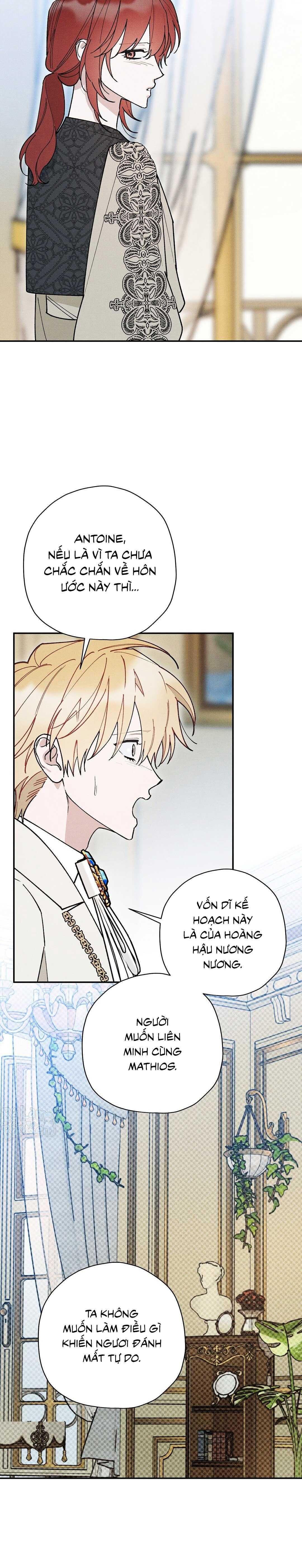 HOÀNG TỬ HƯ HỎNG CHE GIẤU MÌNH LÀ OMEGA Chapter 89 - Trang 3
