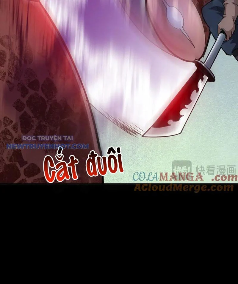 Học Viện Chiến Giáp Chapter 17 - Trang 2