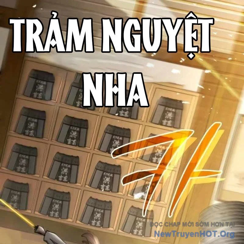 Hồi Quy Nhưng Thế Giới Vẫn Bình Yên Chapter 22 - Trang 3