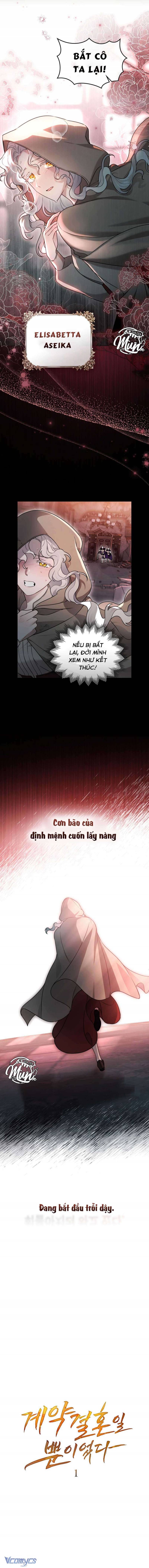 Hôn Nhân Khế Ước Chapter 1 3