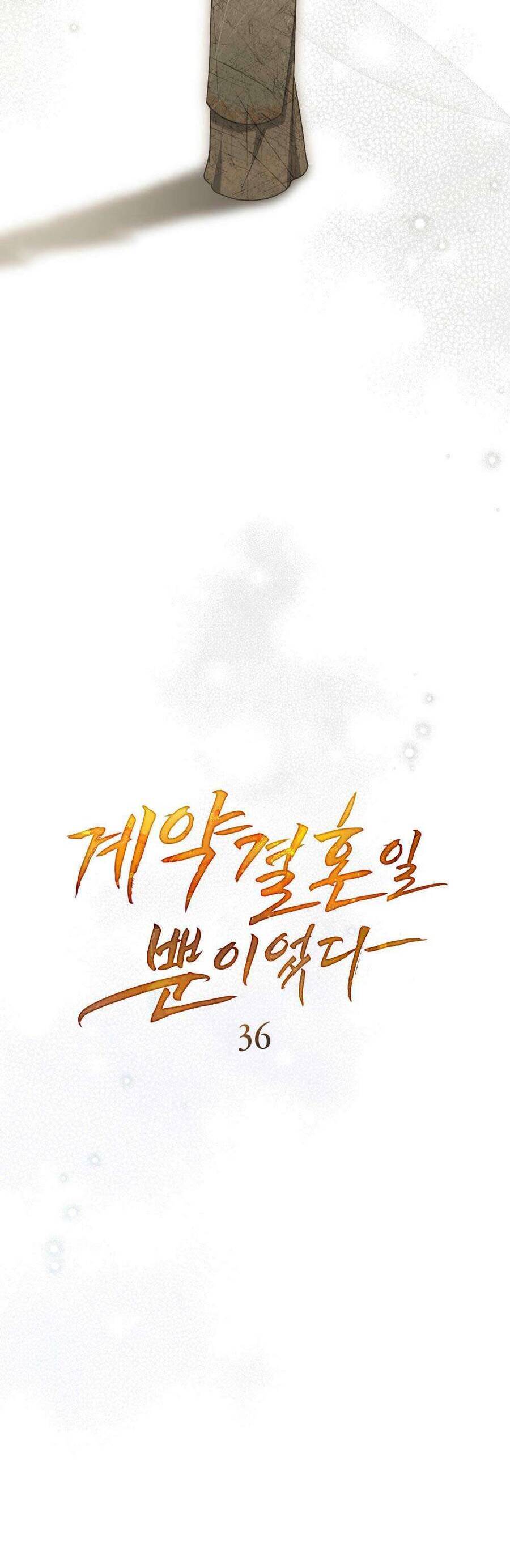 Hôn Nhân Khế Ước Chapter 36 16