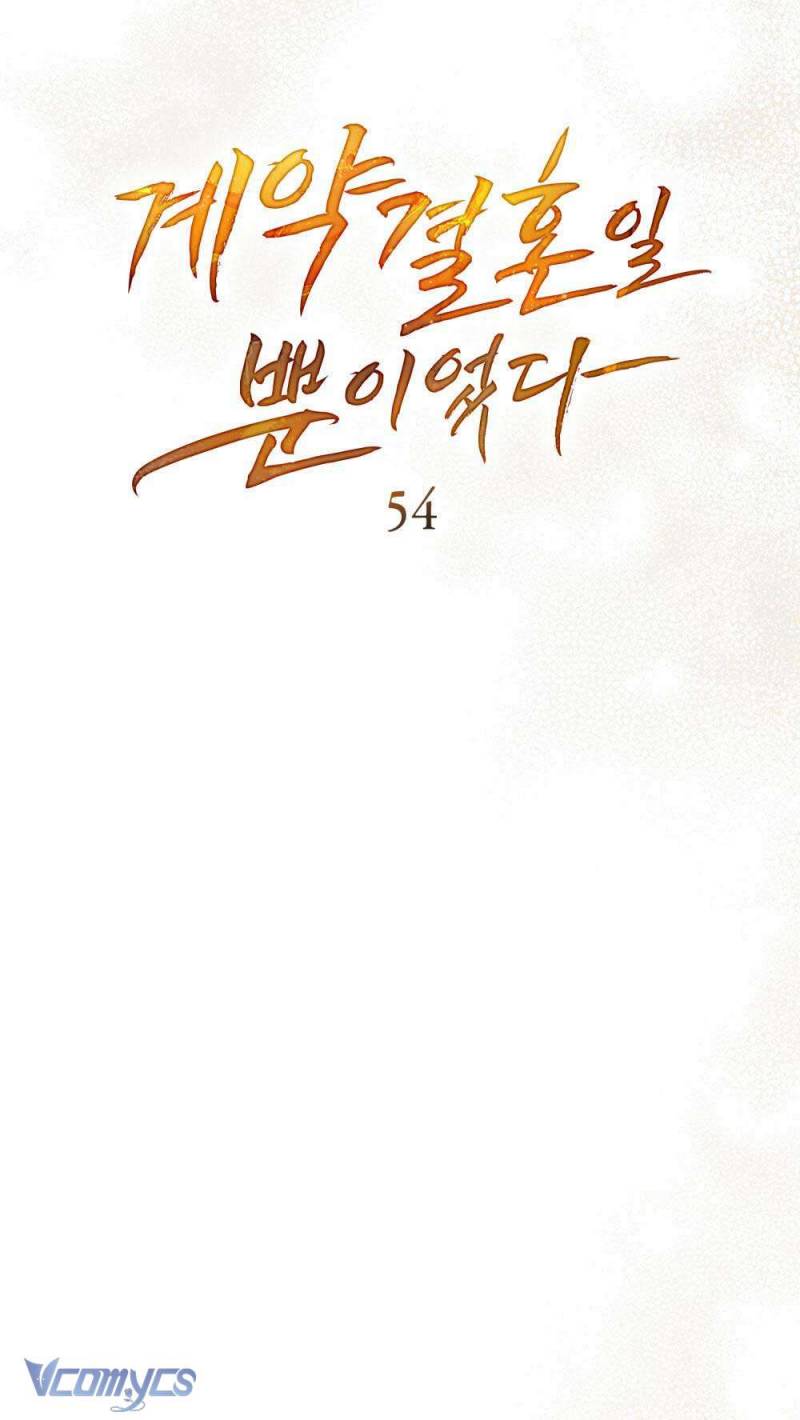 Hôn Nhân Khế Ước Chapter 54 24