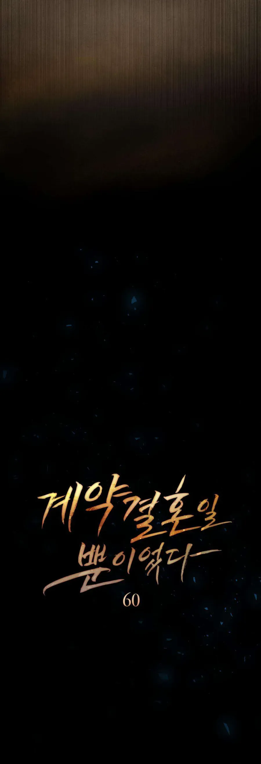 Hôn Nhân Khế Ước Chapter 60 9