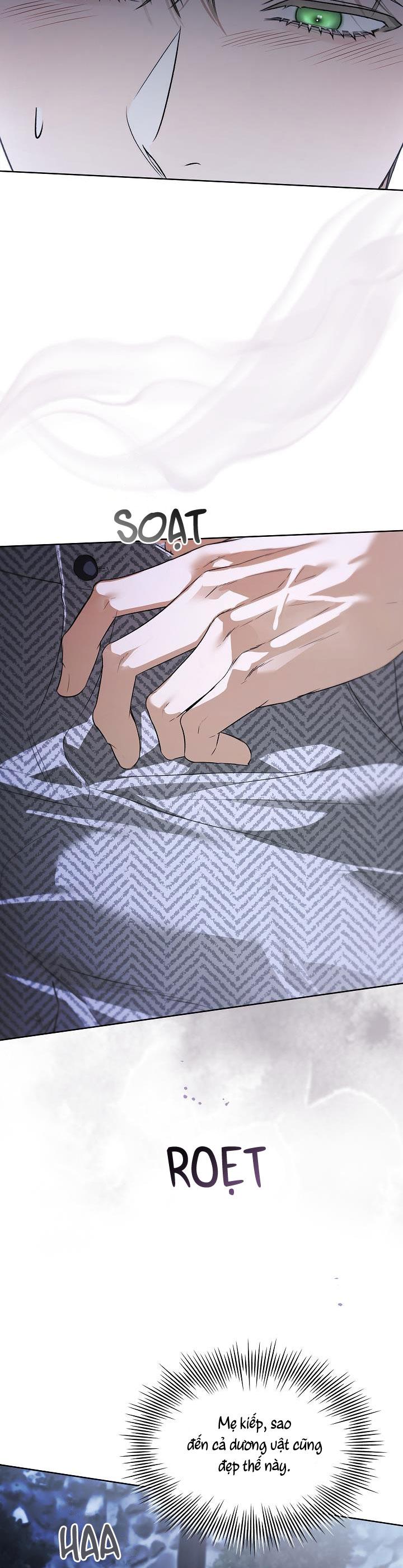 HÔN TÔI NẾU CÓ THỂ Chapter 15 - Trang 3