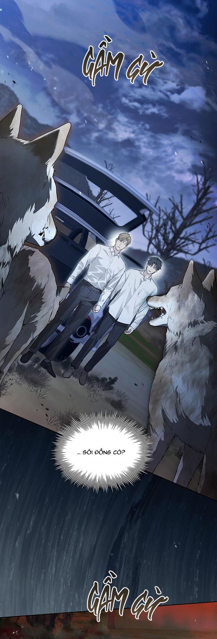 HÔN TÔI NẾU CÓ THỂ Chapter 22 - Trang 3