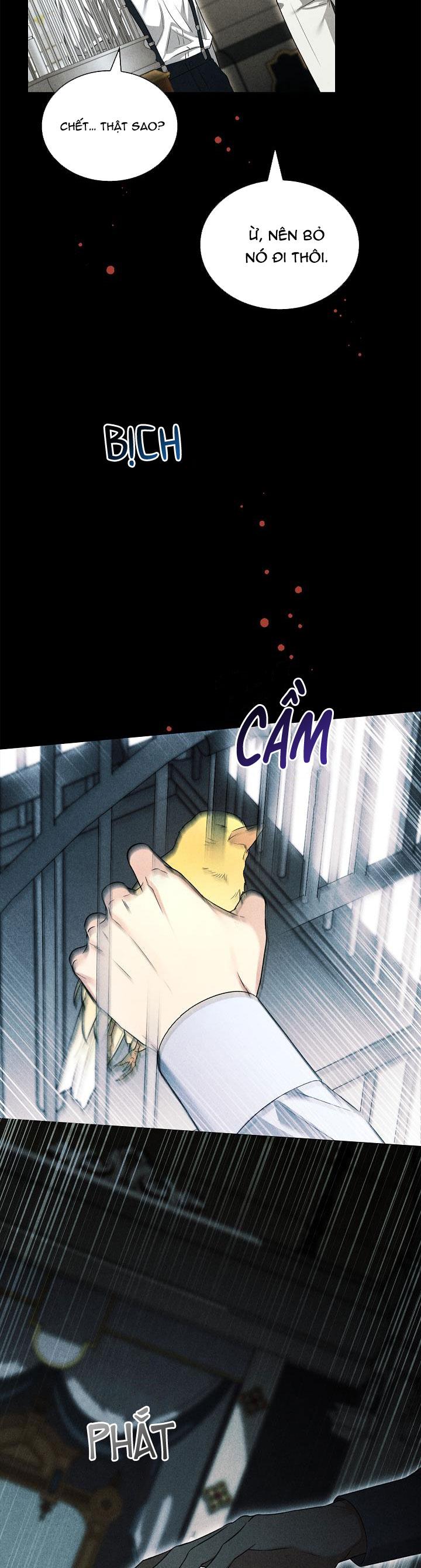 HÔN TÔI NẾU CÓ THỂ Chapter 23 - Trang 3