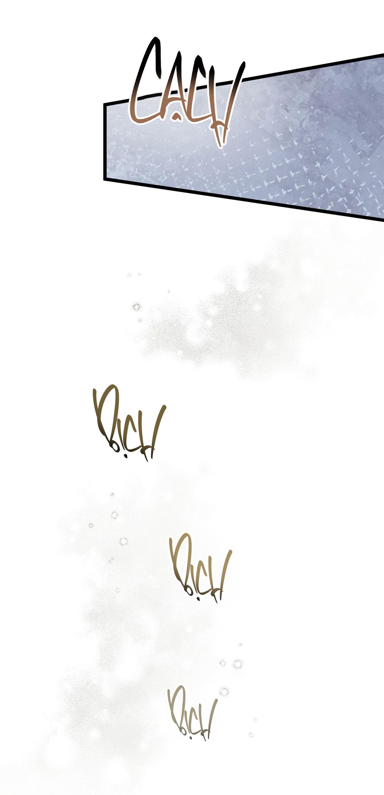 HONEY BEAR Chapter 63 - Next 