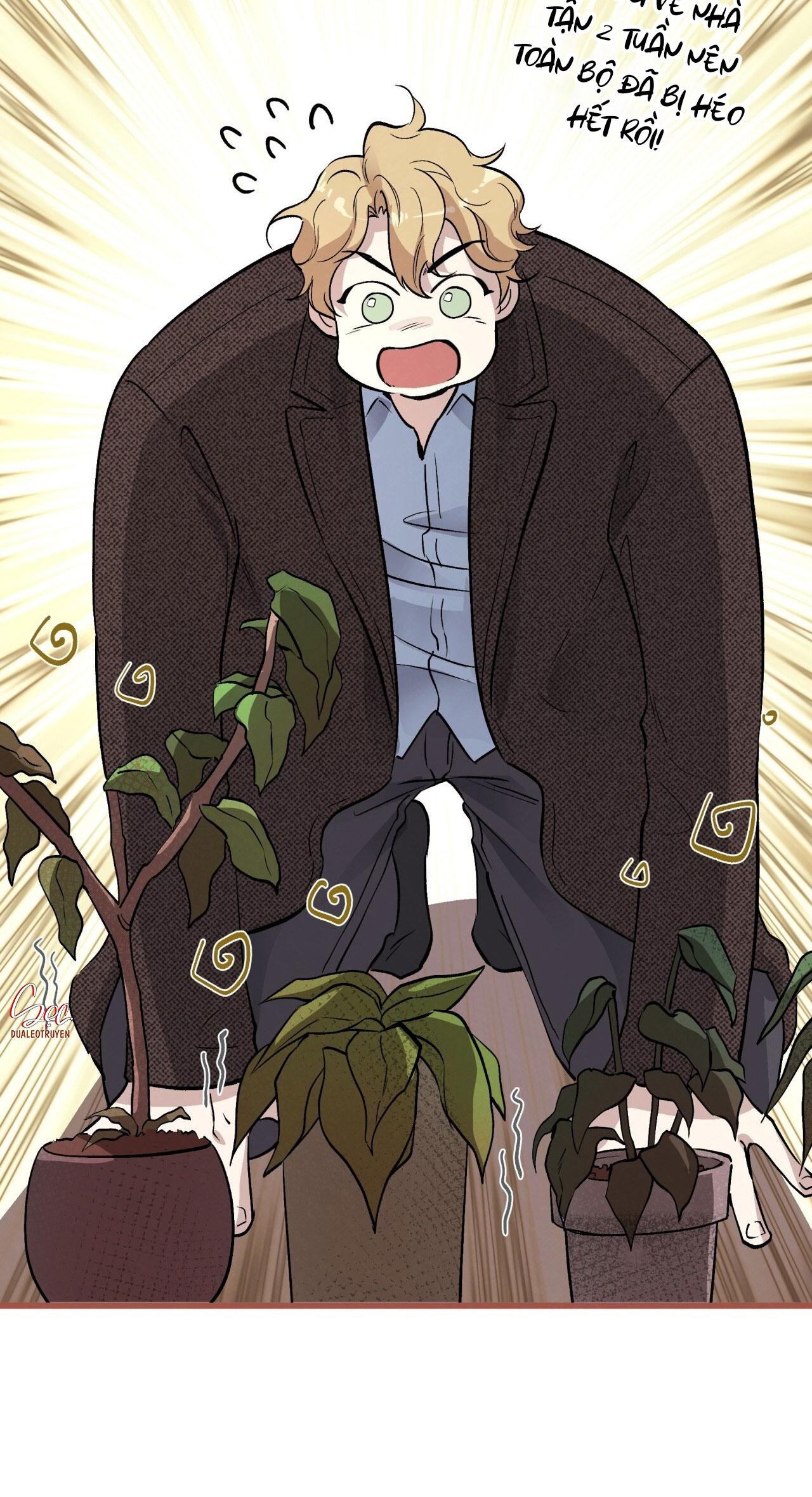 HONEY BEAR Chapter 63 - Next 