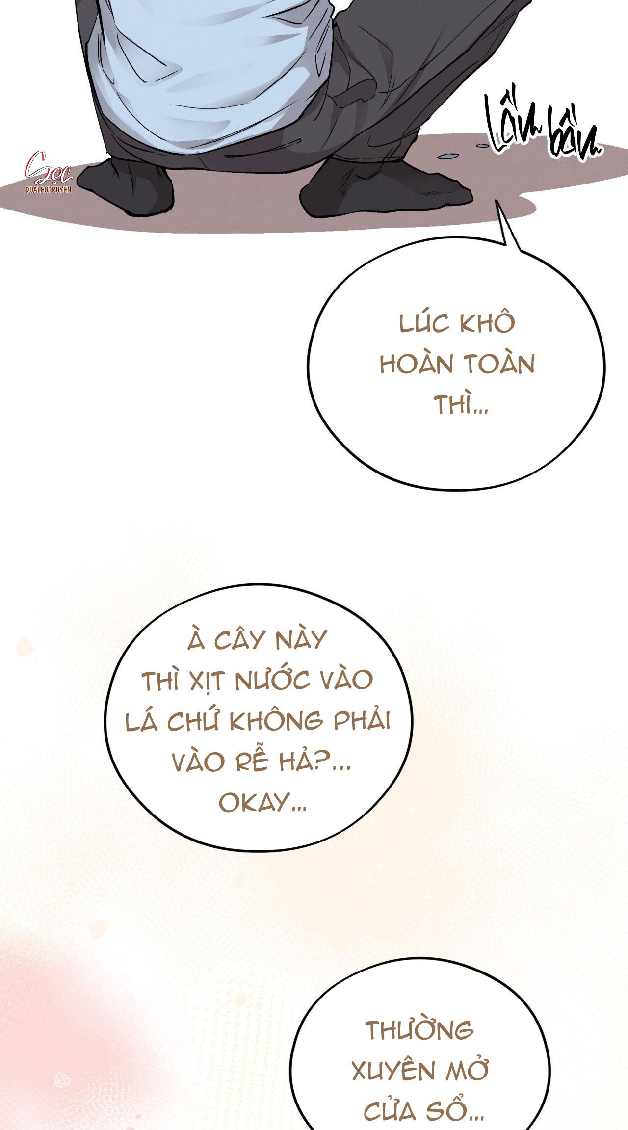 HONEY BEAR Chapter 63 - Next 