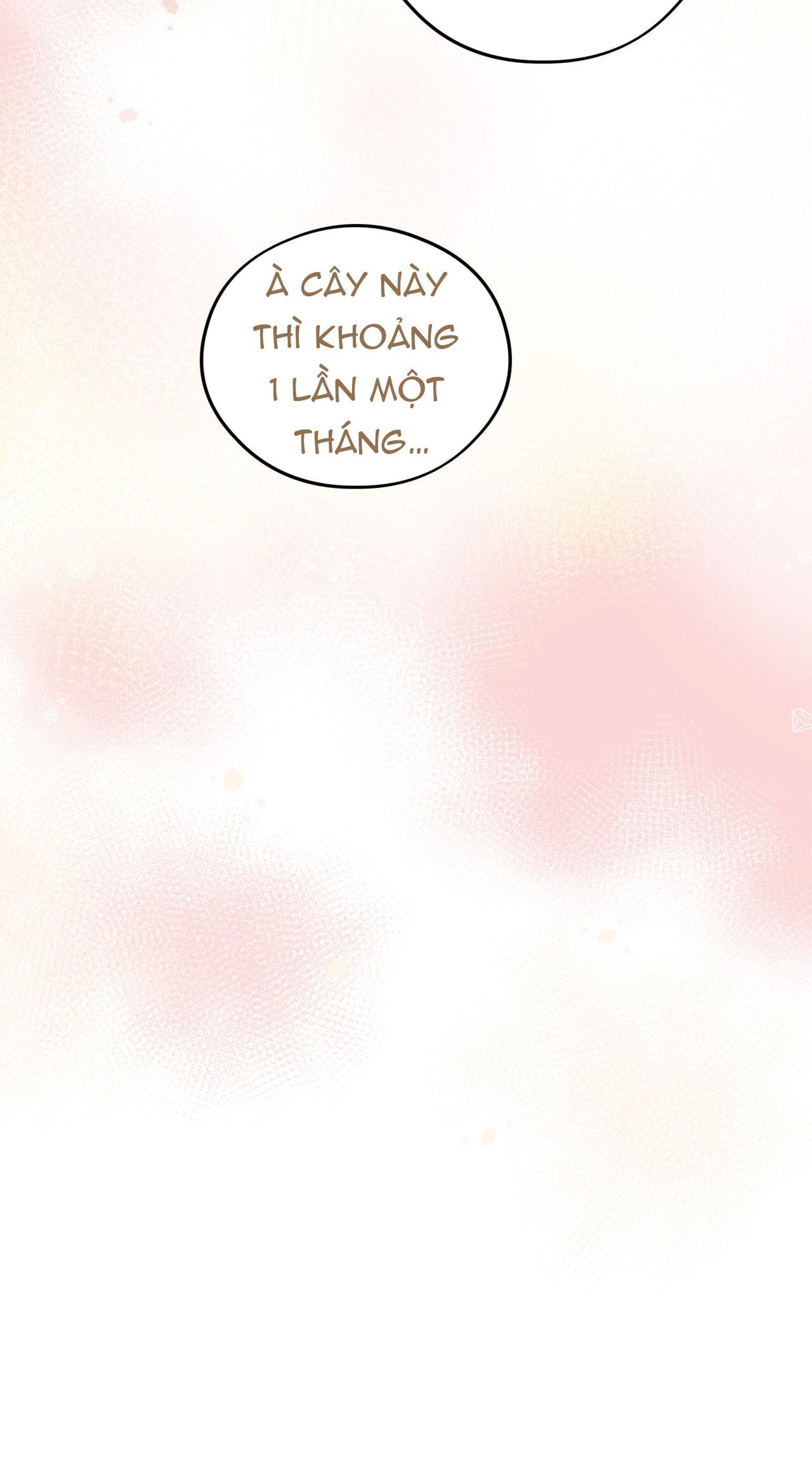 HONEY BEAR Chapter 63 - Next 
