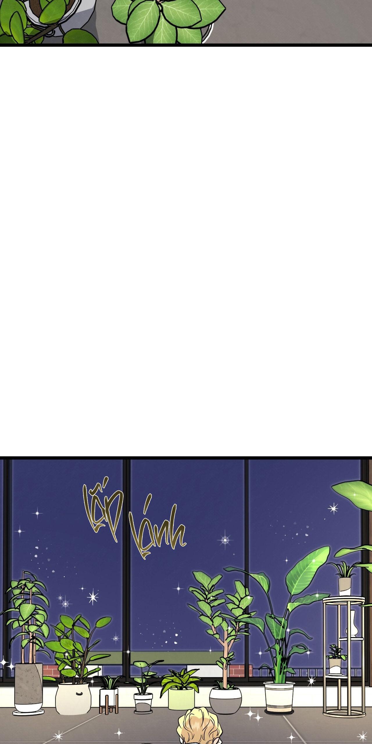 HONEY BEAR Chapter 63 - Next 