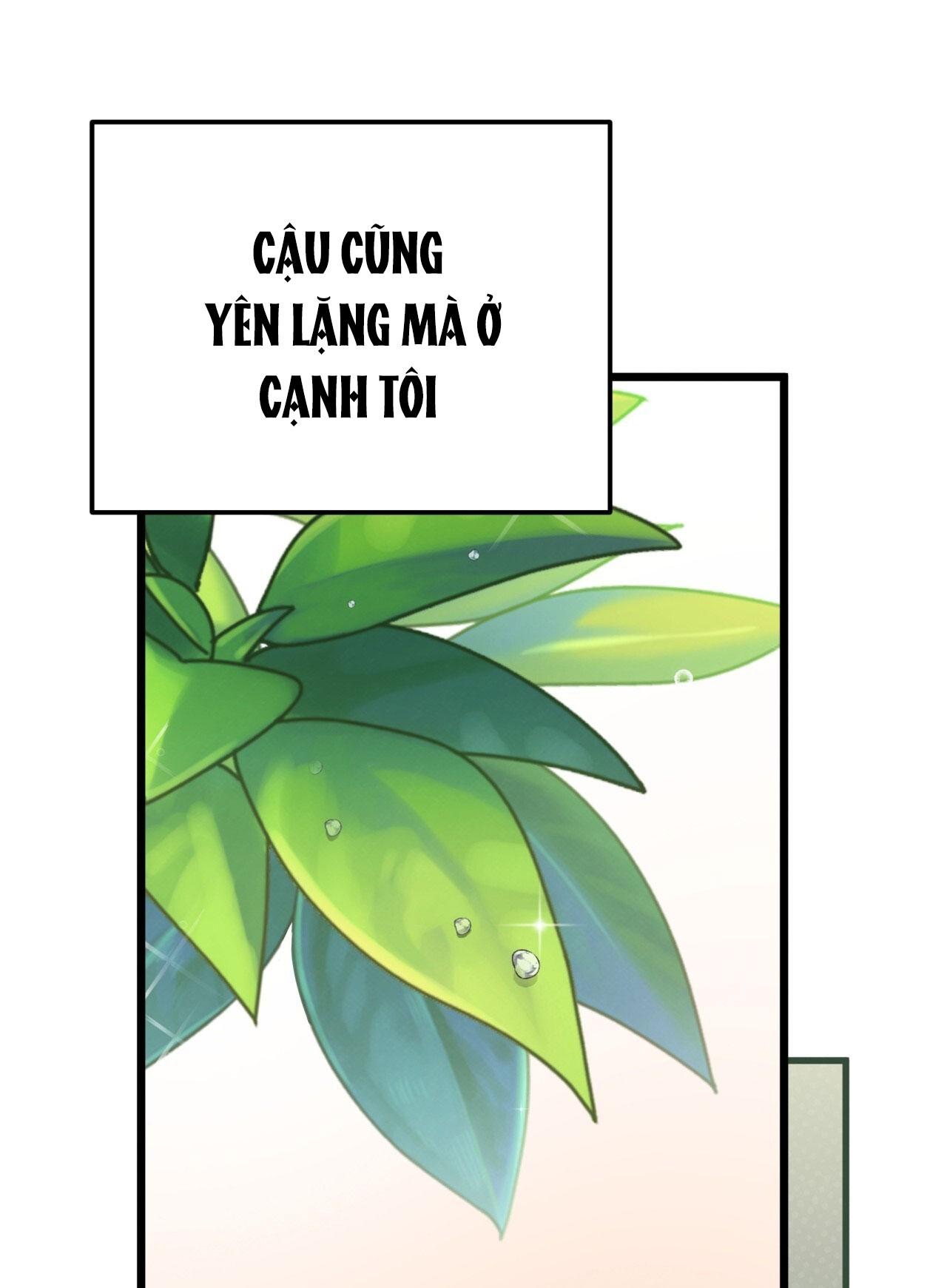 HONEY BEAR Chapter 63 - Next 