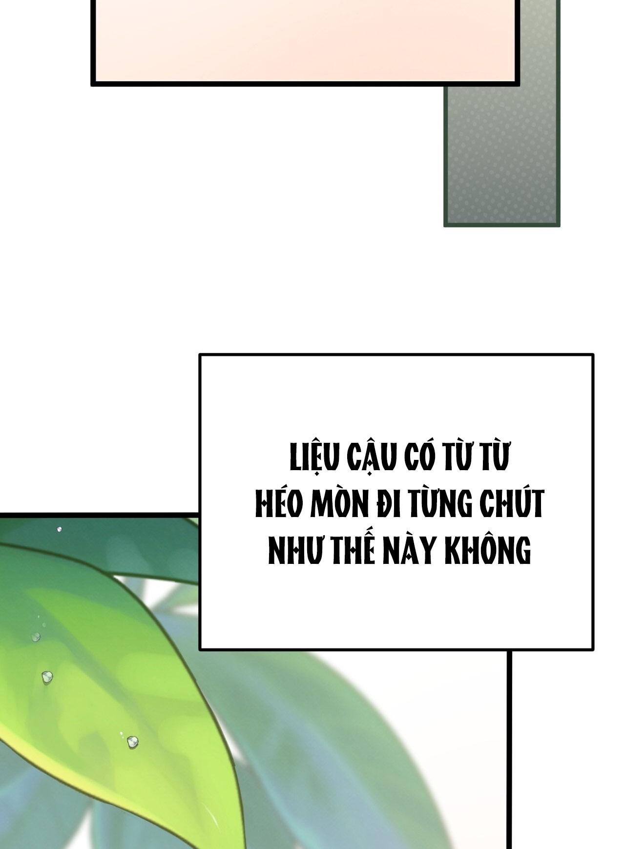 HONEY BEAR Chapter 63 - Next 