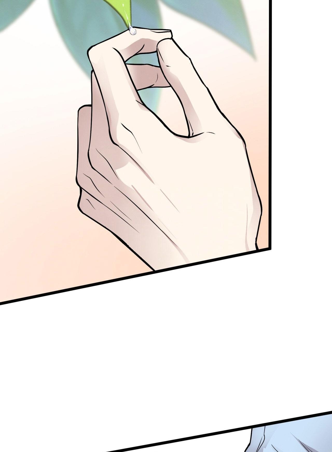 HONEY BEAR Chapter 63 - Next 