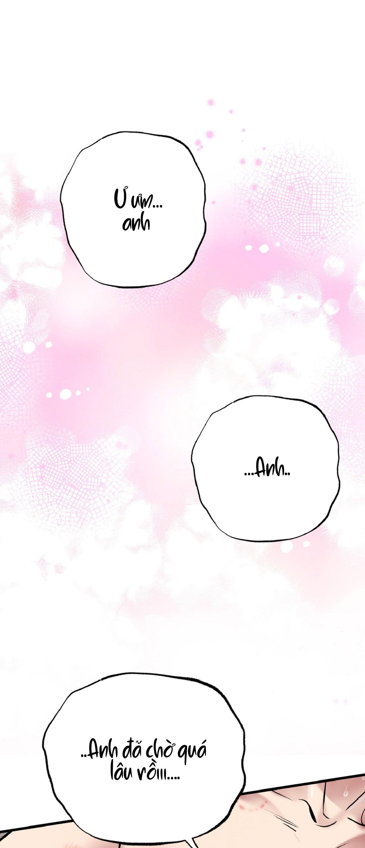 HONEY BEAR Chapter 66 35