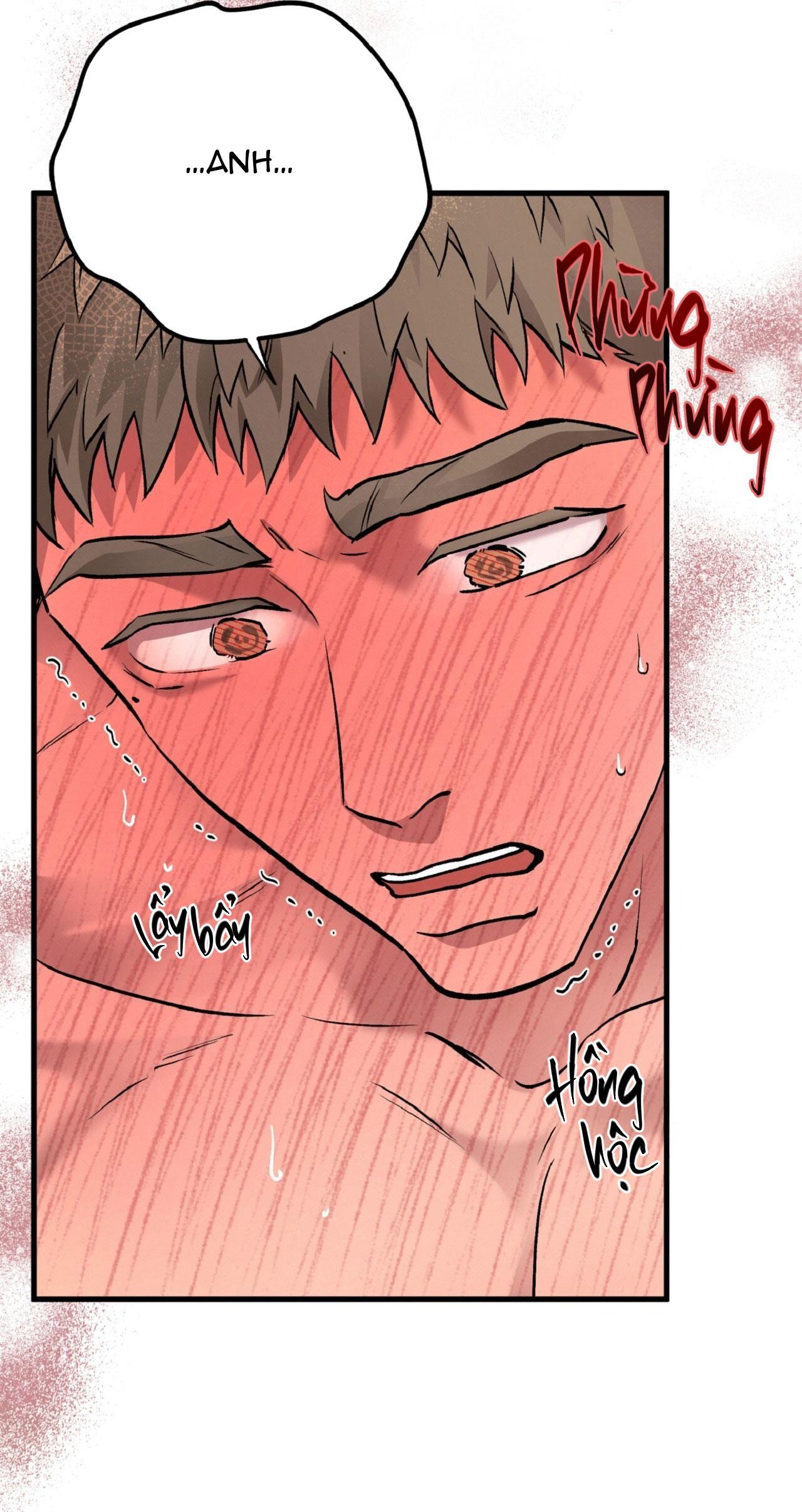 HONEY BEAR Chapter 67 - Next 