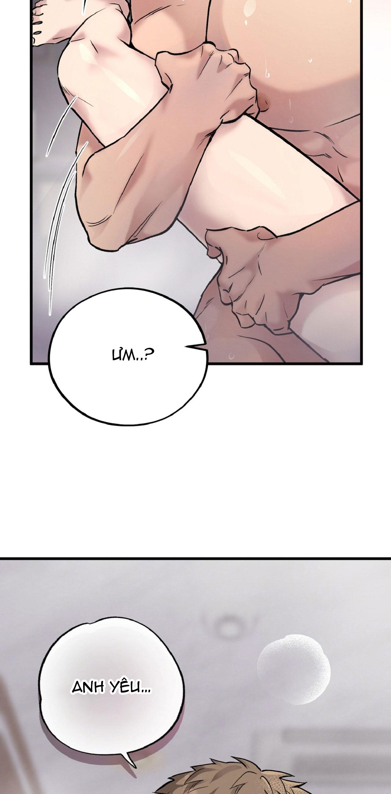 HONEY BEAR Chapter 67 - Next 