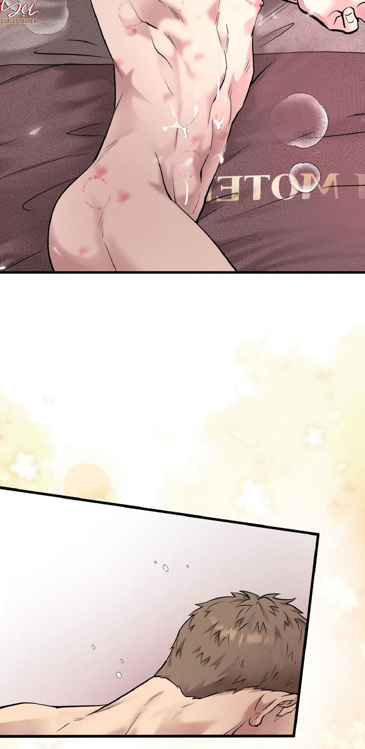 HONEY BEAR Chapter 67 - Next 