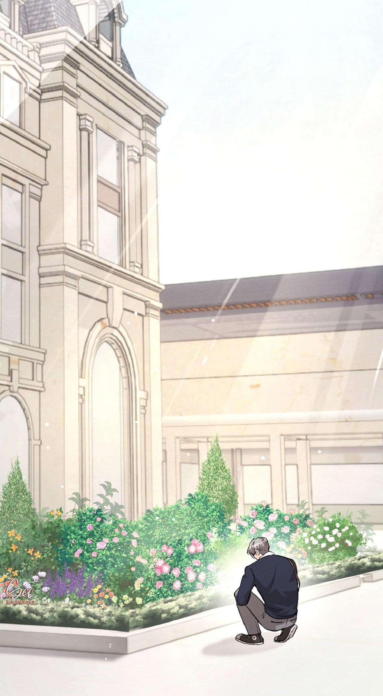 HONEY BEAR Chapter 70 12