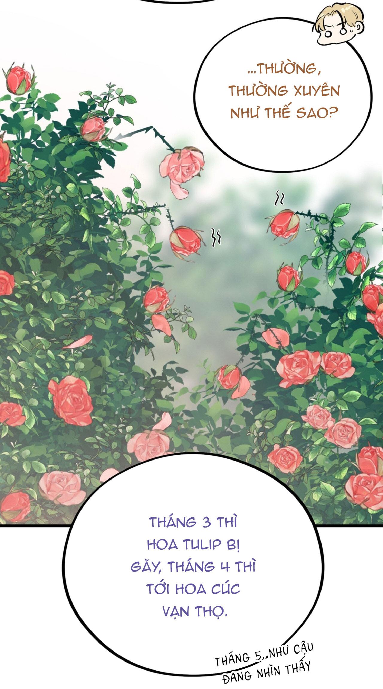 HONEY BEAR Chapter 70 37