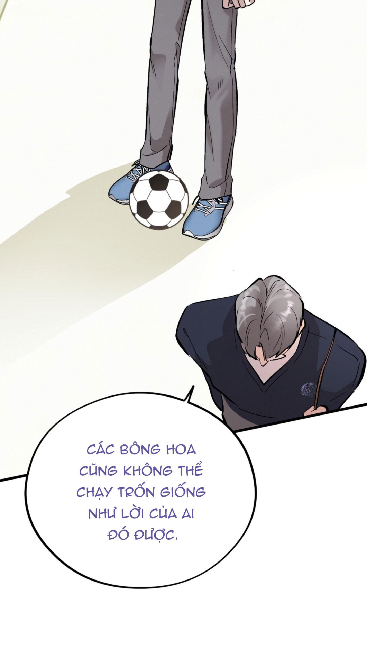 HONEY BEAR Chapter 70 39