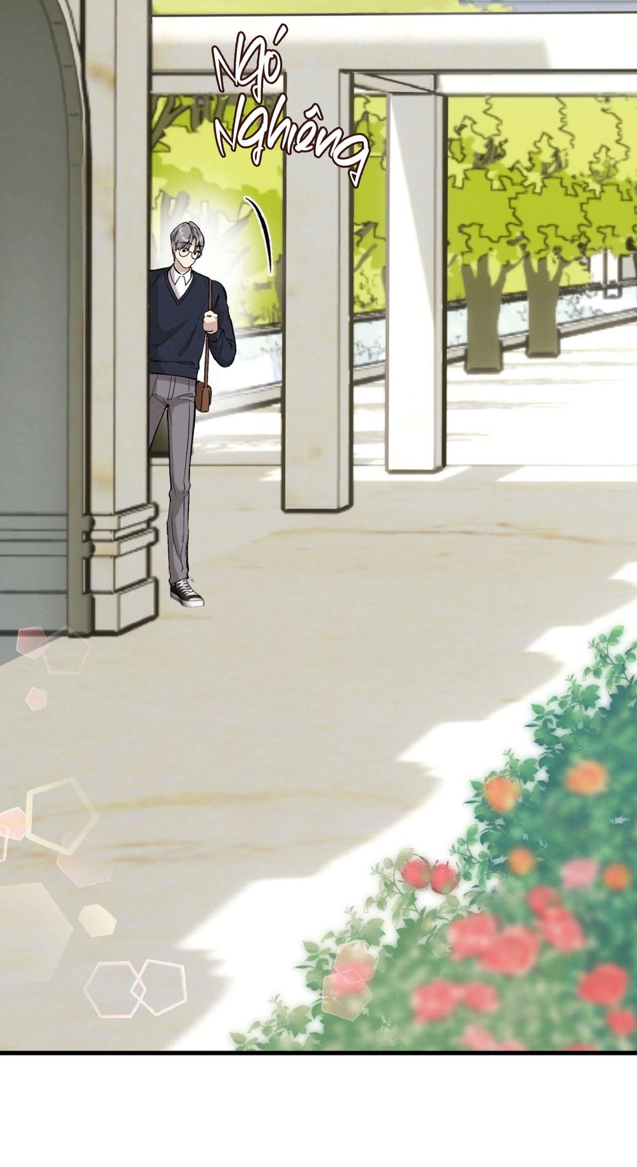 HONEY BEAR Chapter 70 56