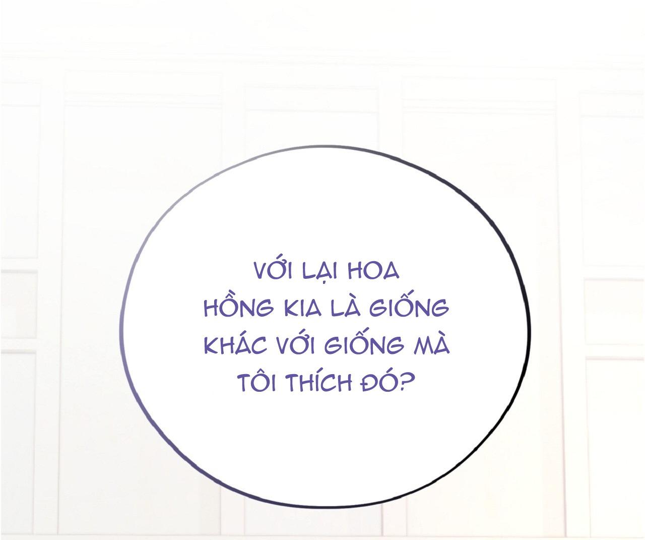 HONEY BEAR Chapter 70 93