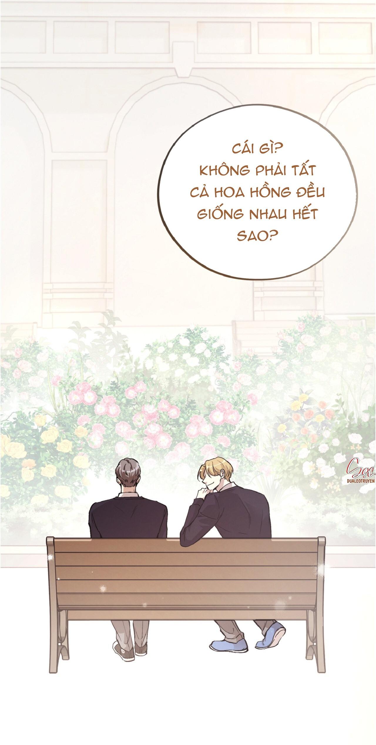 HONEY BEAR Chapter 70 94