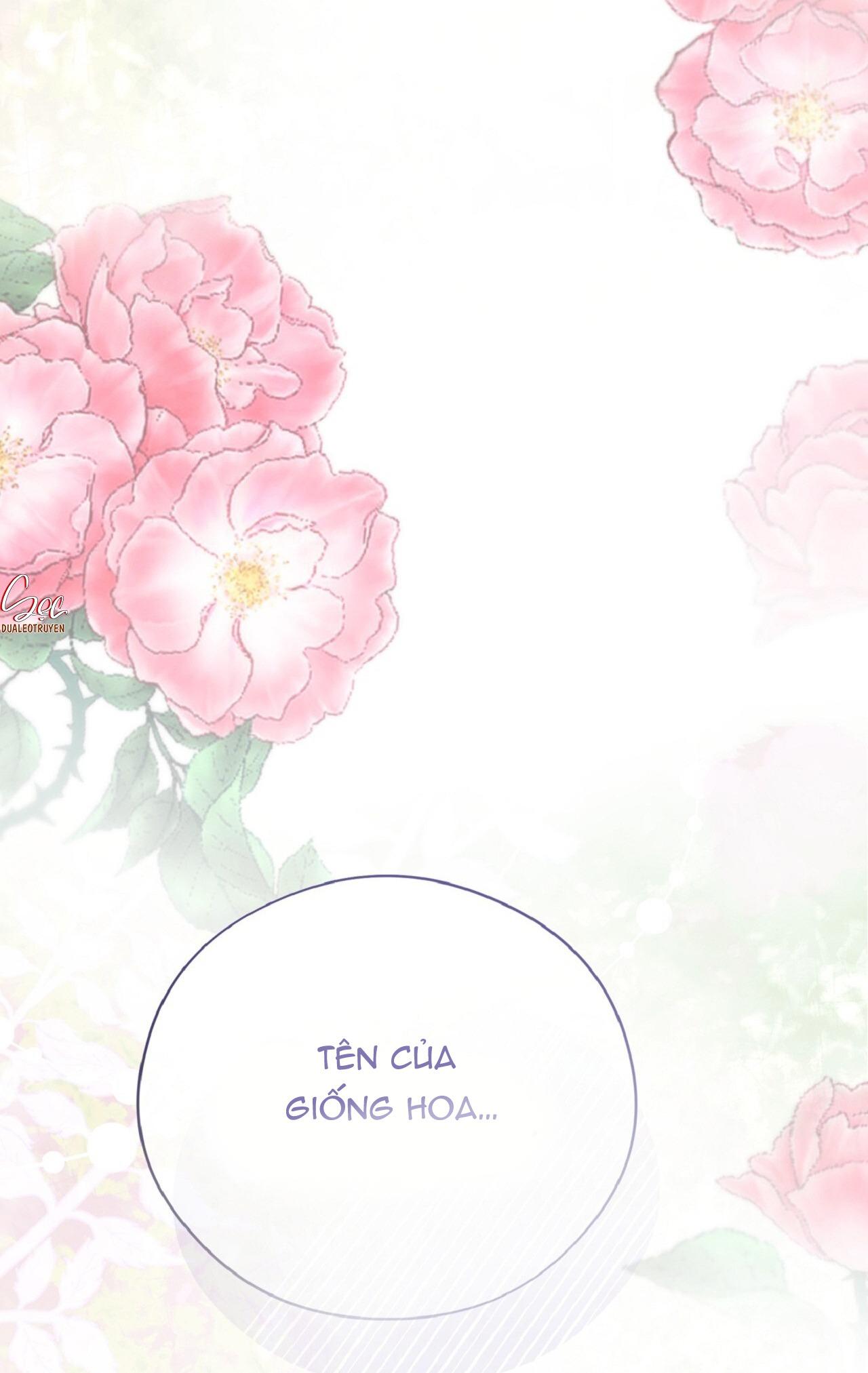 HONEY BEAR Chapter 70 96