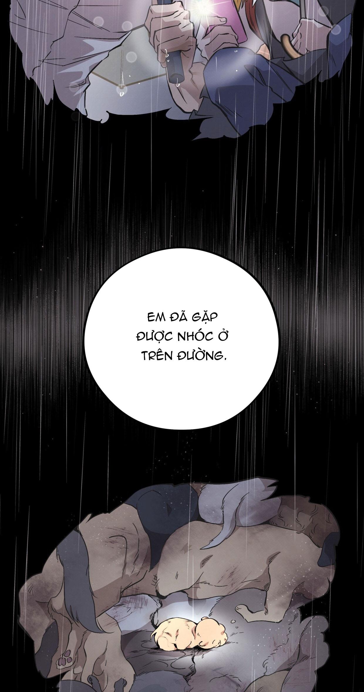HONEY BEAR Chapter 71 54