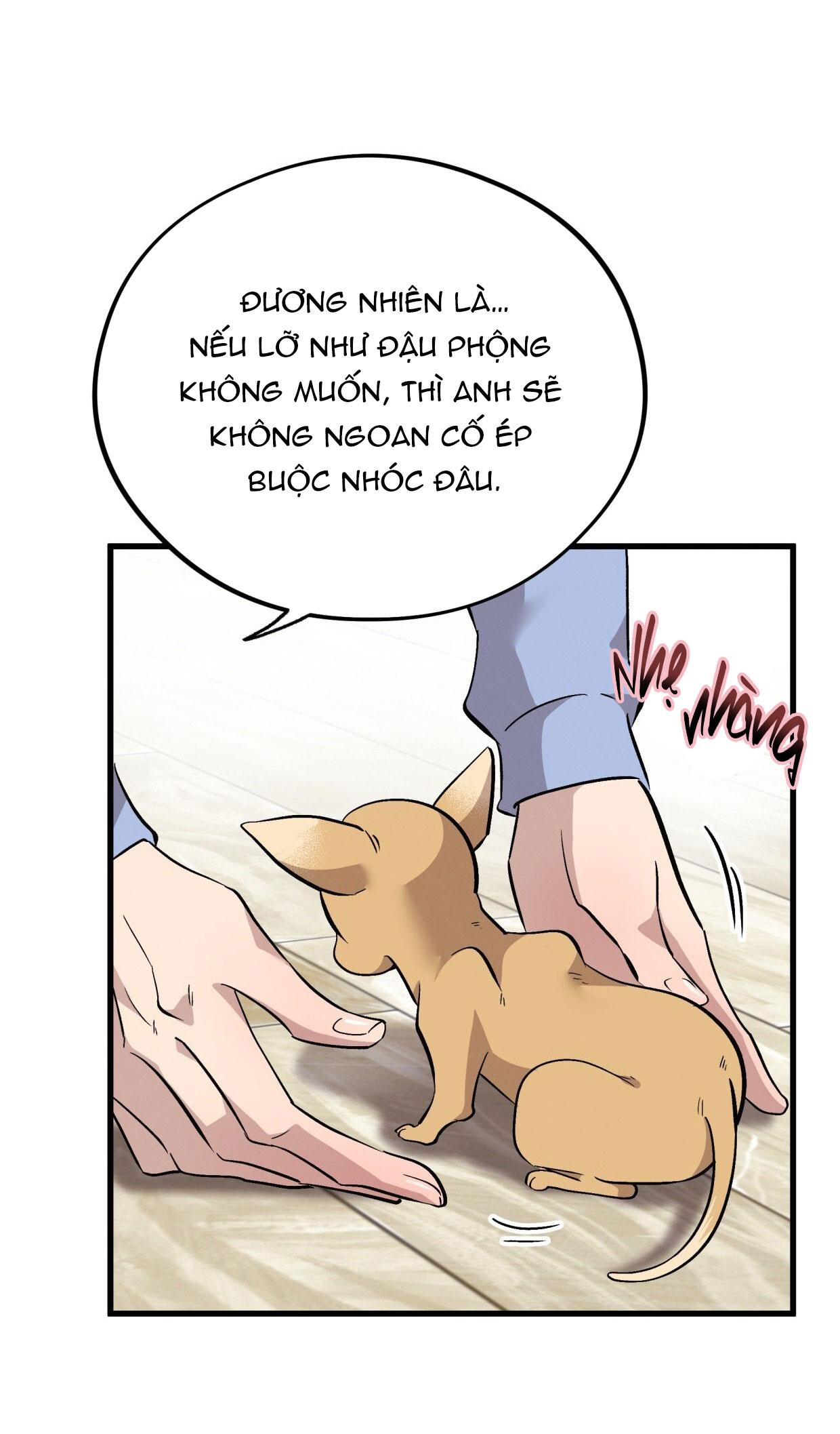 HONEY BEAR Chapter 71 68