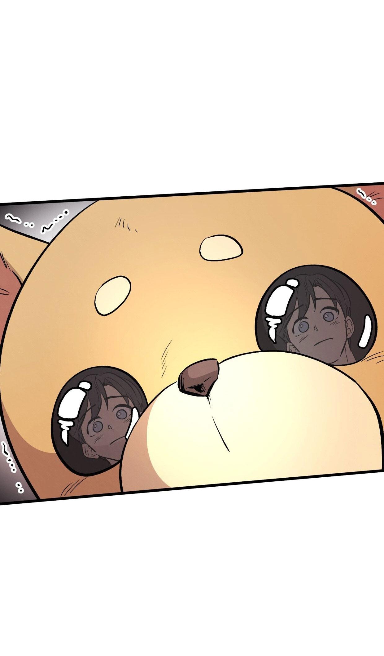 HONEY BEAR Chapter 71 71