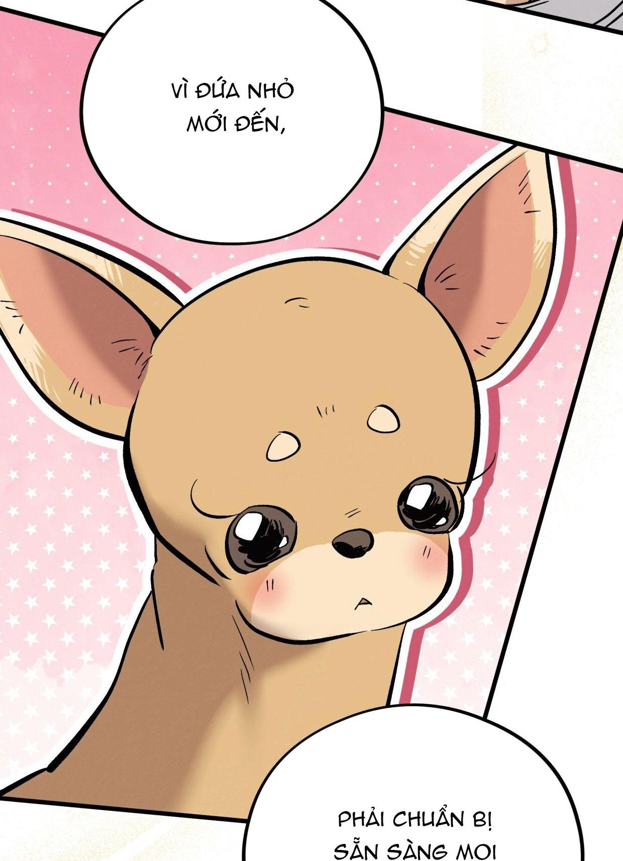 HONEY BEAR Chapter 71 80