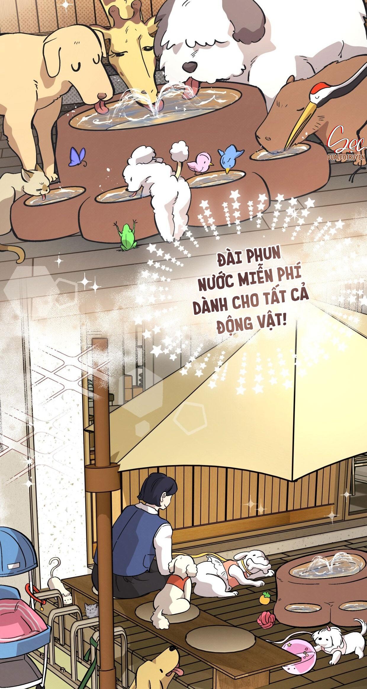 HONEY BEAR Chapter 72 - Next 